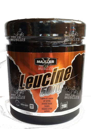 Maxler Leucine 5000 (200гр) MAX038 - фото 6011