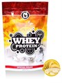 aTech Nutrition Whey Protein Spesial Series 100% (920гр) ATCH173 - фото 10293