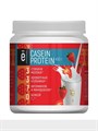 ё|батон Casein Protein (450гр) EBT148 - фото 10393